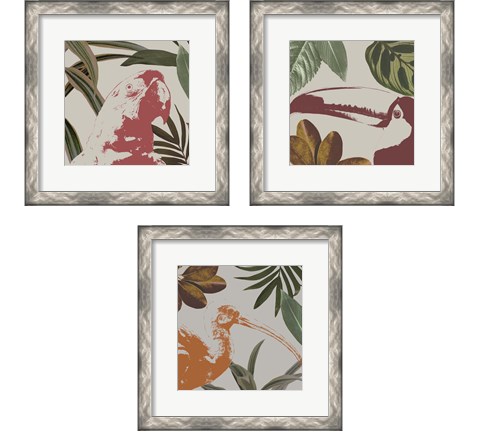 Graphic Tropical Bird  3 Piece Framed Art Print Set by Annie Warren