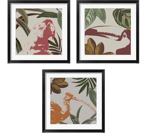 Graphic Tropical Bird  3 Piece Framed Art Print Set by Annie Warren