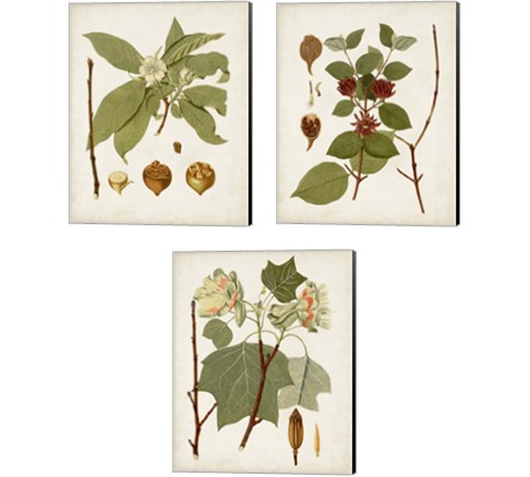 Antique Leaves 3 Piece Canvas Print Set