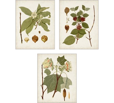 Antique Leaves 3 Piece Art Print Set