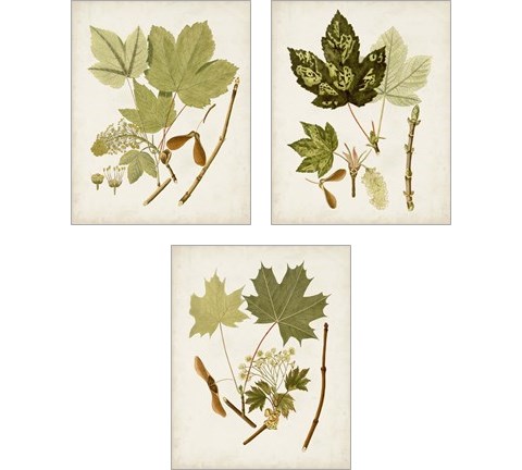 Antique Leaves 3 Piece Art Print Set