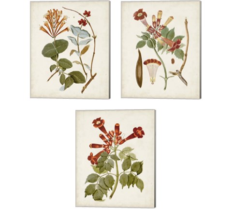 Vintage Flowering Trees 3 Piece Canvas Print Set