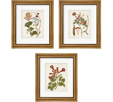 Vintage Flowering Trees 3 Piece Framed Art Print Set