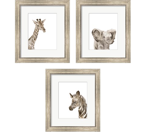 Safari Animal Portraits 3 Piece Framed Art Print Set by Melissa Wang