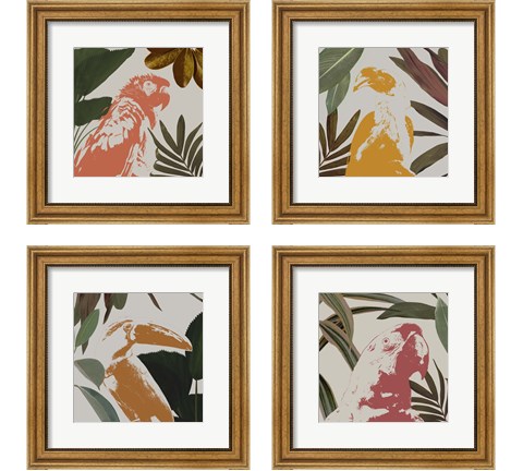 Graphic Tropical Bird  4 Piece Framed Art Print Set by Annie Warren