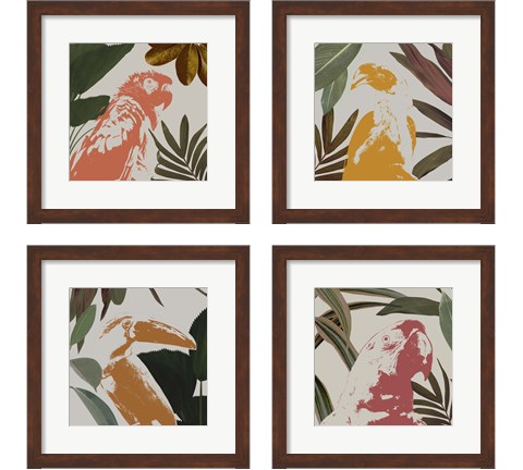Graphic Tropical Bird  4 Piece Framed Art Print Set by Annie Warren