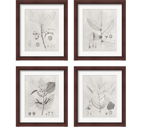 Vintage Leaves 4 Piece Framed Art Print Set by Vision Studio