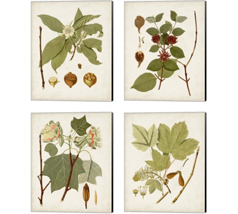 Antique Leaves 4 Piece Canvas Print Set