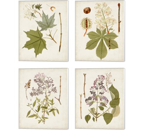 Vintage Flowering Trees 4 Piece Canvas Print Set
