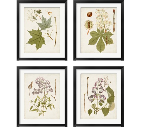 Vintage Flowering Trees 4 Piece Framed Art Print Set