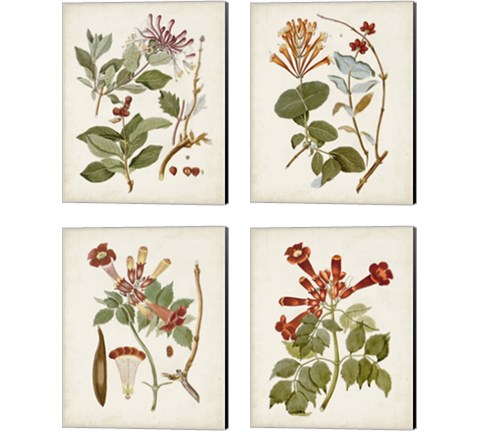 Vintage Flowering Trees 4 Piece Canvas Print Set
