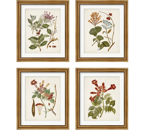 Vintage Flowering Trees 4 Piece Framed Art Print Set