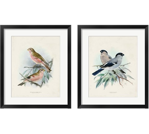 Antique Birds 2 Piece Framed Art Print Set