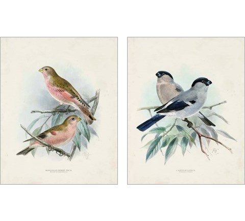 Antique Birds 2 Piece Art Print Set