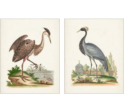 Antique Heron & Cranes 2 Piece Art Print Set by George Edwards