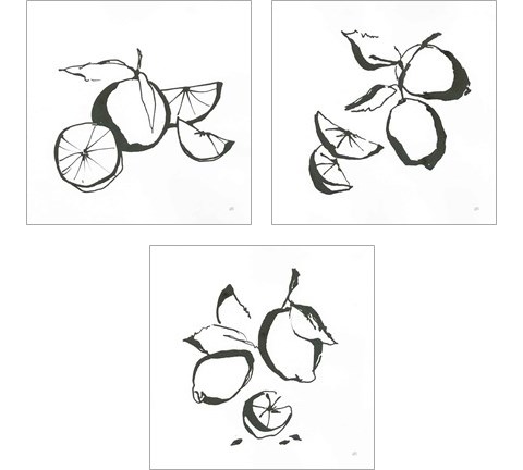 Black & White Fruit 3 Piece Art Print Set by Chris Paschke