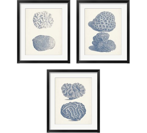 Antique Coral Collection 3 Piece Framed Art Print Set by Vision Studio