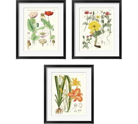 Bright Botanicals 3 Piece Framed Art Print Set