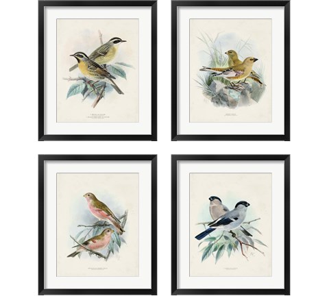 Antique Birds 4 Piece Framed Art Print Set