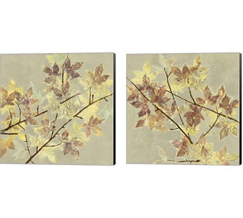 Renewed Maple 2 Piece Canvas Print Set by Jennifer Goldberger