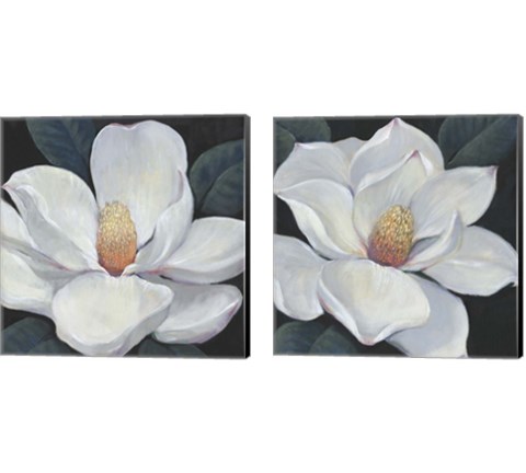 Blooming Magnolia 2 Piece Canvas Print Set by Timothy O'Toole