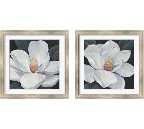 Blooming Magnolia 2 Piece Framed Art Print Set by Timothy O'Toole
