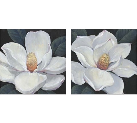 Blooming Magnolia 2 Piece Art Print Set by Timothy O'Toole