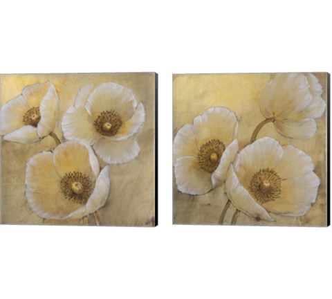 Golden Highlights 2 Piece Canvas Print Set by Timothy O'Toole