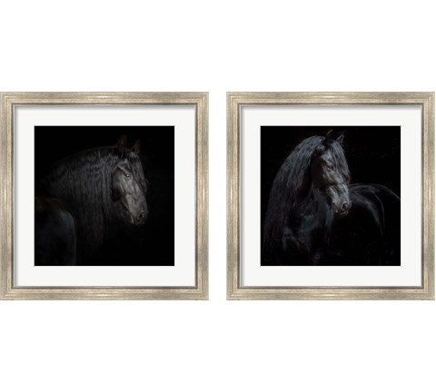 Equine Portrait 2 Piece Framed Art Print Set by PHBurchett