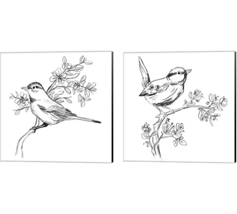 Simple Songbird Sketches 2 Piece Canvas Print Set by June Erica Vess