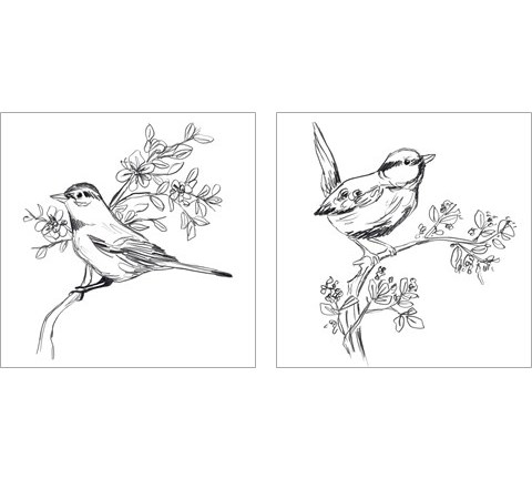 Simple Songbird Sketches 2 Piece Art Print Set by June Erica Vess
