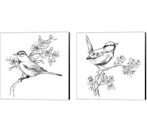 Simple Songbird Sketches 2 Piece Canvas Print Set by June Erica Vess