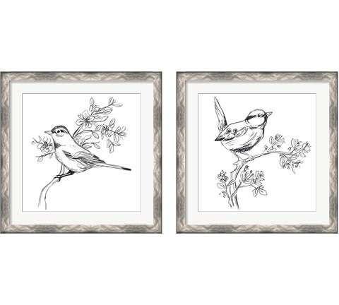 Simple Songbird Sketches 2 Piece Framed Art Print Set by June Erica Vess