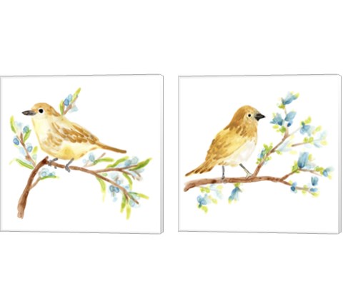 Springtime Songbirds 2 Piece Canvas Print Set by June Erica Vess