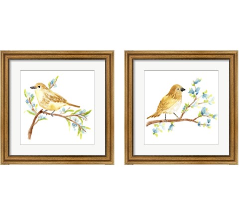 Springtime Songbirds 2 Piece Framed Art Print Set by June Erica Vess