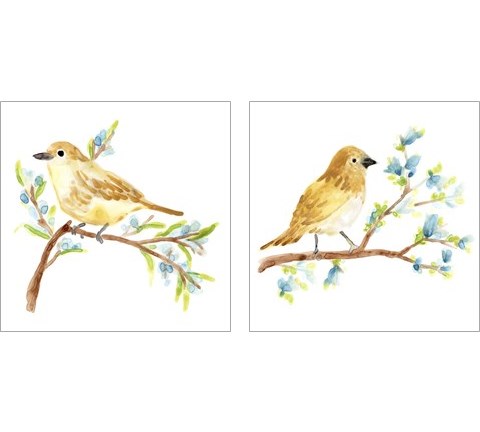 Springtime Songbirds 2 Piece Art Print Set by June Erica Vess