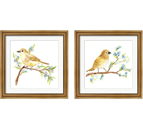 Springtime Songbirds 2 Piece Framed Art Print Set by June Erica Vess