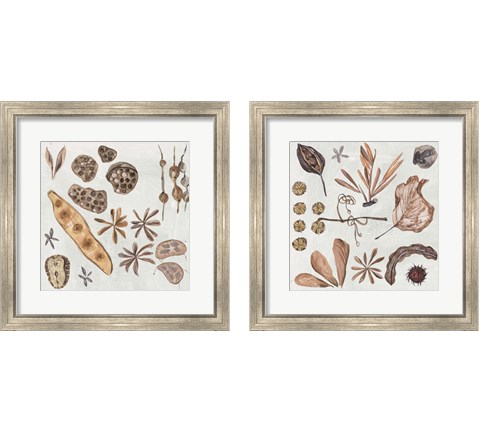 Small Things 2 Piece Framed Art Print Set by Melissa Wang