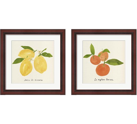 Citrus Trattare 2 Piece Framed Art Print Set by Annie Warren