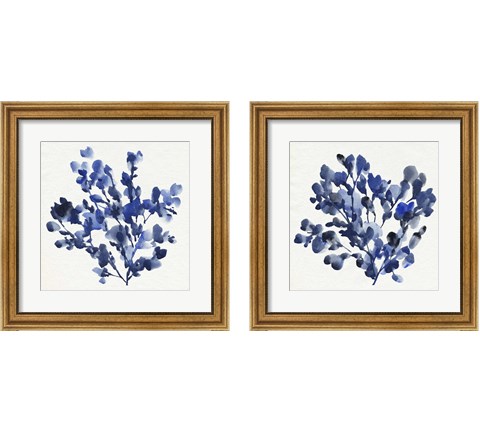 Cobalt Blossom 2 Piece Framed Art Print Set by Annie Warren