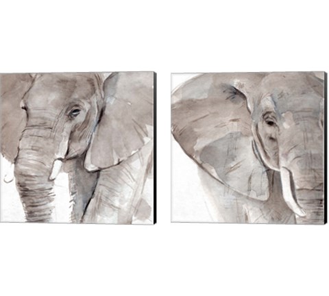 Elephant Grooves 2 Piece Canvas Print Set by Annie Warren