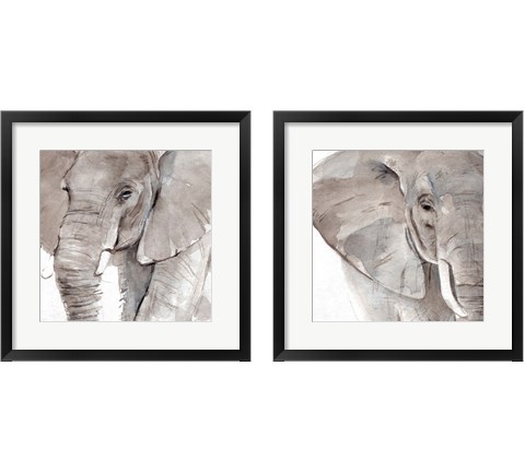 Elephant Grooves 2 Piece Framed Art Print Set by Annie Warren