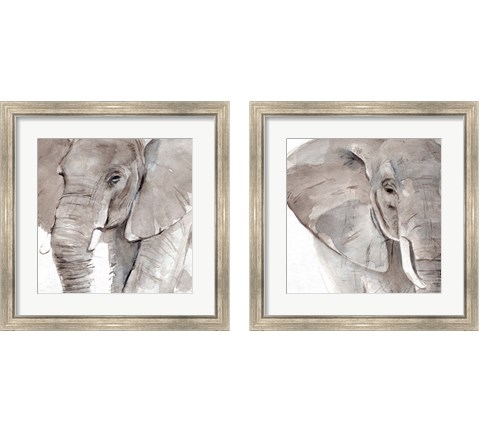 Elephant Grooves 2 Piece Framed Art Print Set by Annie Warren