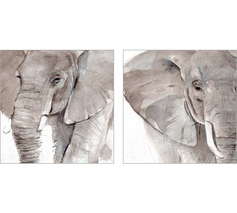 Elephant Grooves 2 Piece Art Print Set by Annie Warren