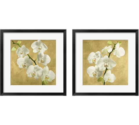 Orchids on a Golden Background 2 Piece Framed Art Print Set by Andrea Antinori