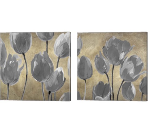 Grey Tulips 2 Piece Canvas Print Set by Luca Villa