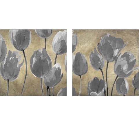Grey Tulips 2 Piece Art Print Set by Luca Villa