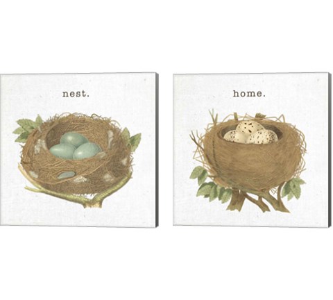Spring Nest 2 Piece Canvas Print Set by Moira Hershey