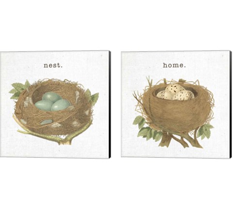 Spring Nest 2 Piece Canvas Print Set by Moira Hershey