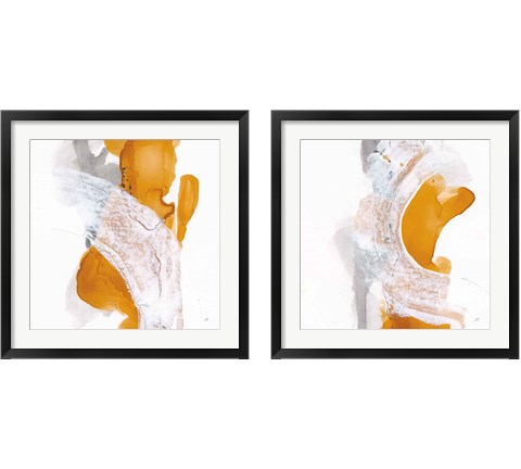 Amber Wash 2 Piece Framed Art Print Set by Chris Paschke